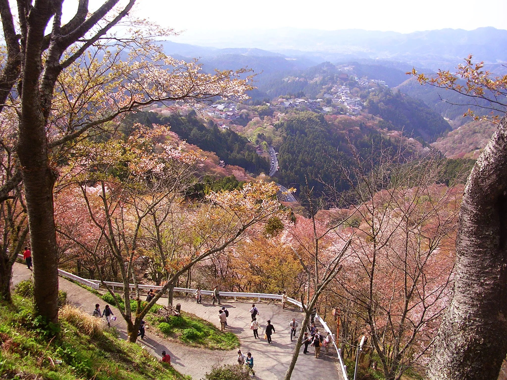 ⛩️ 쇼인 신사(쇼인진자) 이미지 7